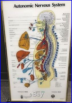 Neuropatholator Wall Chart