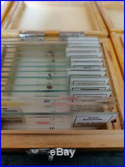 215 Prepared Vintage Microscope Slides Wood Boxes Various Kinds School Home