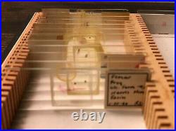 Antique Box of Microscope Slides RARE! Vintage Medical / Scientific Equipment