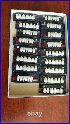 Antique Denture Display Samples -Vintage Dental Equipment Medical Dentist