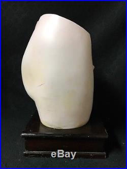 Antique Vintage Clay Adams Female Pelvis Hip bone Uterus Anatomical Model