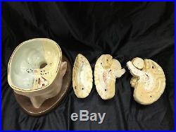 Antique/Vintage Denoyer-Geppert Brain in Cranium Model # 0179-00