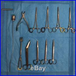Lot 100+ Vtg Medical Dental Veterinary Surgical Stainless Instruments Lab Forcep