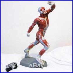 Ultra rare HUMAN ANATOMICAL FULL BODY MAN MODEL hand painted vintage antique