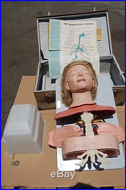 VintageAnatomical Training Anne Manikin Female Anatomic Anne Dummy Respiratory
