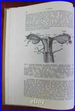Vintage 1923 German Medical Hardcover Book Obstetrics Textbook
