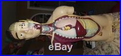 Vintage 1964 Nystrom Life Size Model Anatomical Male removable organs Halloween