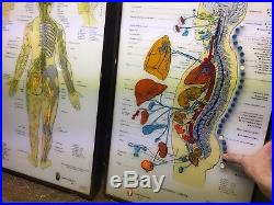 Vintage 1979 Chiropractor Neuropatholator by Visual Odyssey Great Working Cond