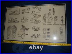 Vintage 1984 Chicago Medical Equipment Podiatrist Writing Board Feet Anatomy