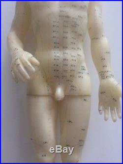Vintage Anatomical Acupuncture Points Male Human Body Figure Anatomy Study Aide
