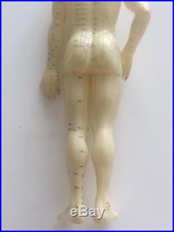 Vintage Anatomical Acupuncture Points Male Human Body Figure Anatomy Study Aide