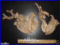 Vintage Anatomical/ Paper Mache Heart Model/Auzoux Style