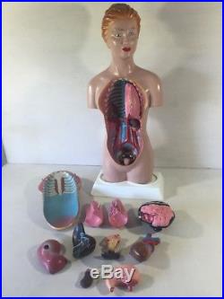 Vintage Anatomy Model Anatomical Medical Teaching Educational Female Torso