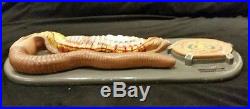 Vintage / Antique Welch Earthworm Animal Biology Anatomical Model