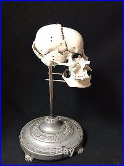 Vintage Beauchene Human Skull Model Mounted Medical Lifesize Realistic 11