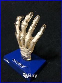 Vintage Celebrex Transparent Hand Skeleton Anatomical Model Pharmaceutical Model