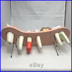 Vintage Denoyer Geppert Dental Anatomical Model Teeth Chicago 7-Part A84