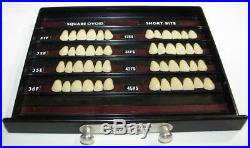 Vintage Dental BIOFORM Denture Tooth Mould / Size Selector Guide Heavy Case -DE2