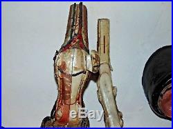 Vintage Educational Horse Ankle Anatomy Medical Veterinary Model