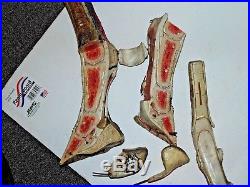 Vintage Educational Horse Ankle Anatomy Medical Veterinary Model