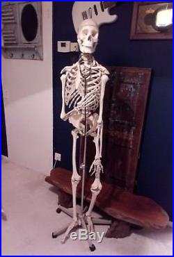 Vintage Human Medical Skeleton Anatomical Model Life Size