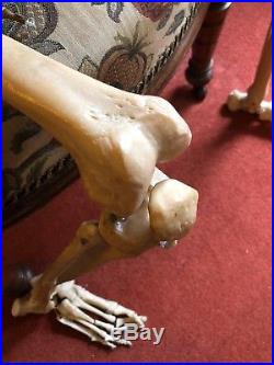 Vintage Human Skeleton Anatomical Model Life Size Model Medical Not Real