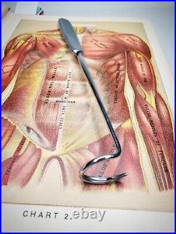 Vintage Medical Instrument Surgical deschamps ligature needle carrier Oddities