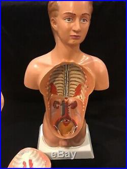 Vintage Medical Model Anatomy Doll Rare