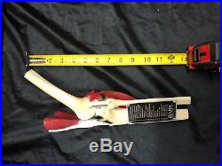 Vintage Medical Plastics Laboratory Deluxe Functional Knee with Muscles