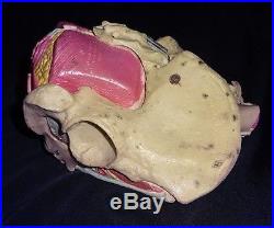 Vintage Medical Plastics Laboratory Female Pelvic Anatomical Model