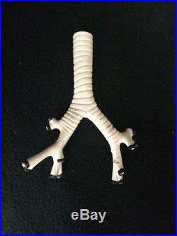 Vintage Medical Plastics Laboratory Lung Trachea Model Lung Lobes