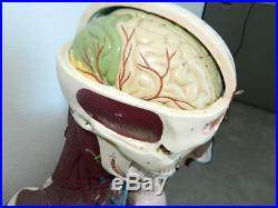 Vintage Nystrom Anatomical Body Heart Brain Simulator Manikin Mannequin Nursing