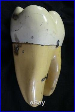Vintage Sargent-Welch Scientific Anatomical Tooth Model