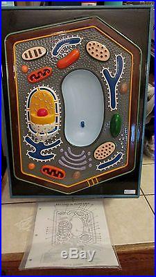 Vintage Staco Science Teaching 3-D Functional Model PLANT CELL 18x24 + Box