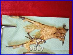 Vintage medical instrument, RARE