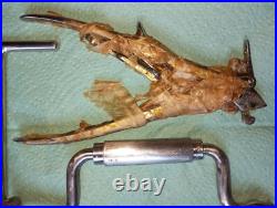 Vintage medical instrument, RARE