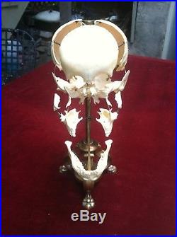 Vintage rare Beauchene Human skull 4 year old